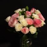 بوكيه سحر الألوان