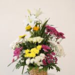 ألوان النقاء