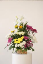 ألوان النقاء