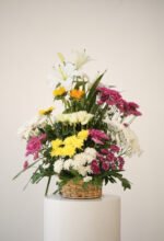 ⁦ألوان النقاء⁩ - الصورة ⁦3⁩