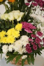 ⁦ألوان النقاء⁩ - الصورة ⁦2⁩