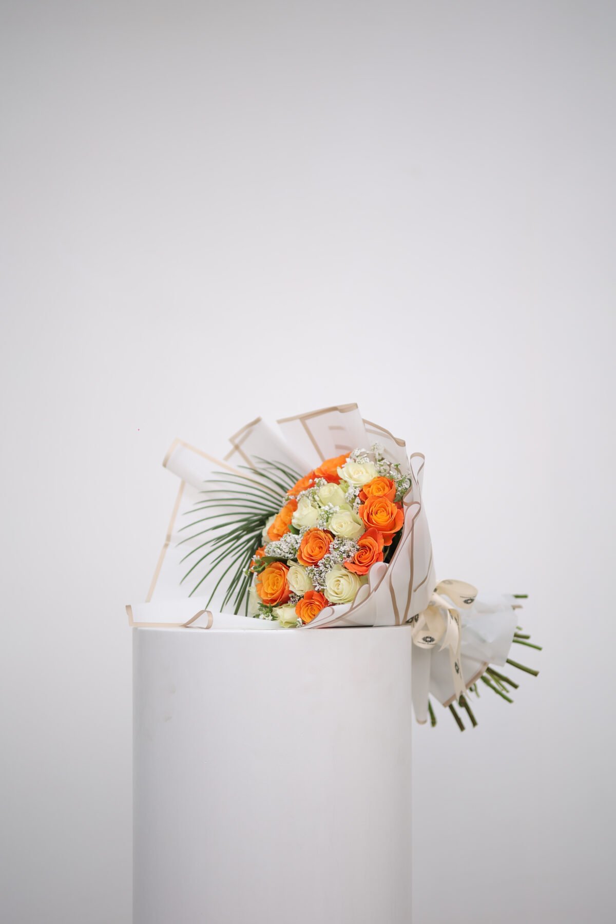 ⁦ابتسامة الشمس⁩ - الصورة ⁦3⁩