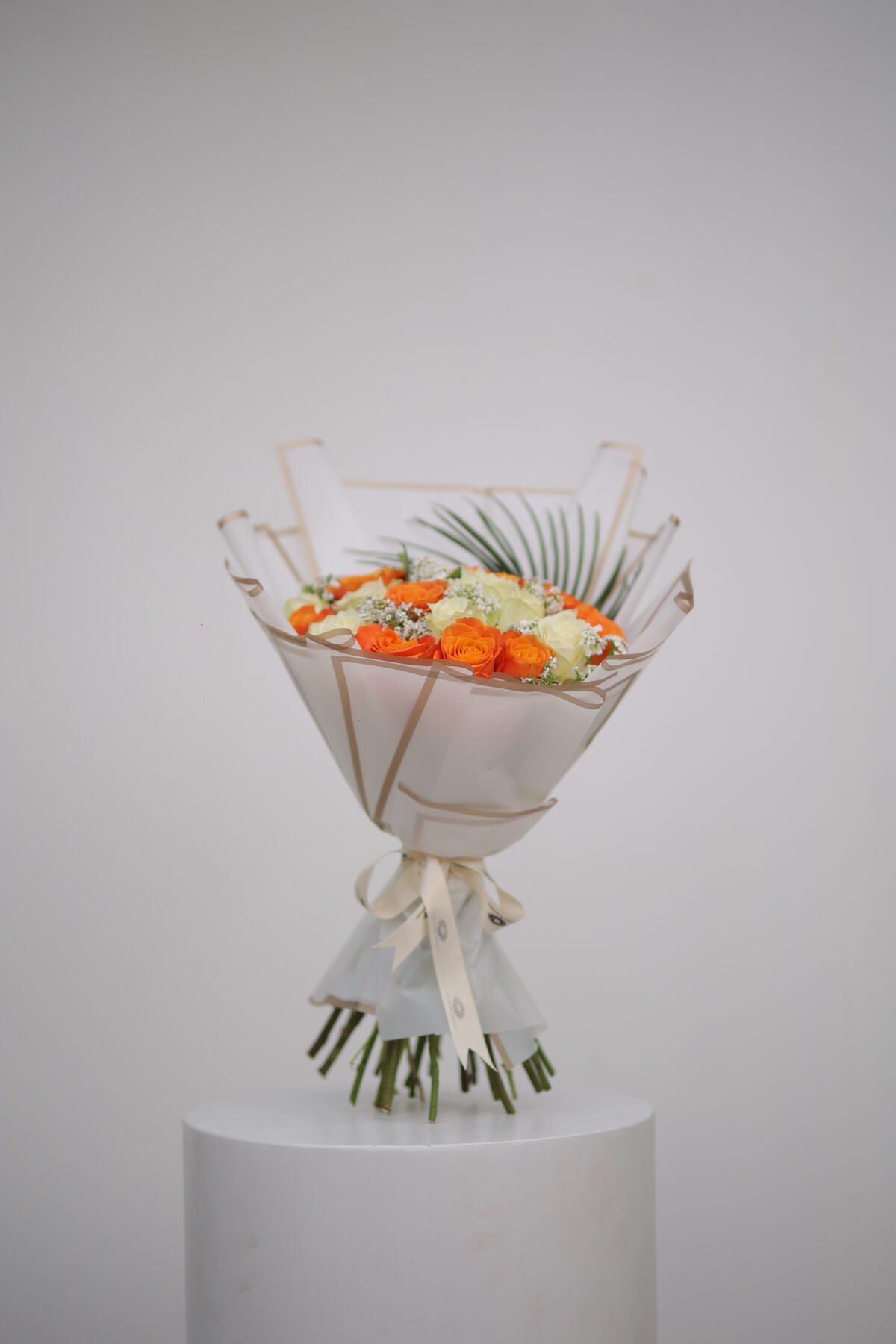 ⁦ابتسامة الشمس⁩ - الصورة ⁦2⁩