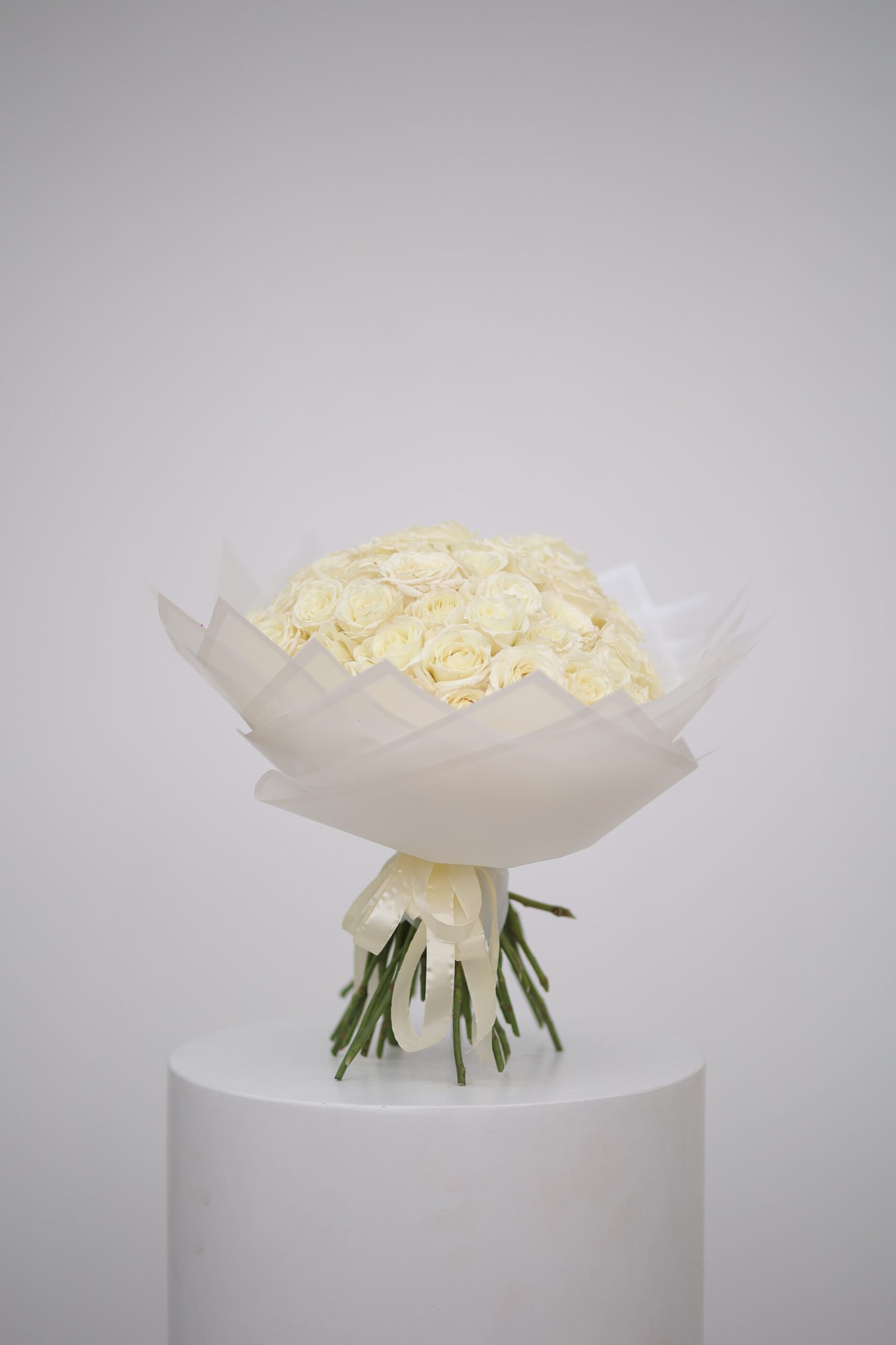 FE5A9613 شعاع النور - الصورة 1