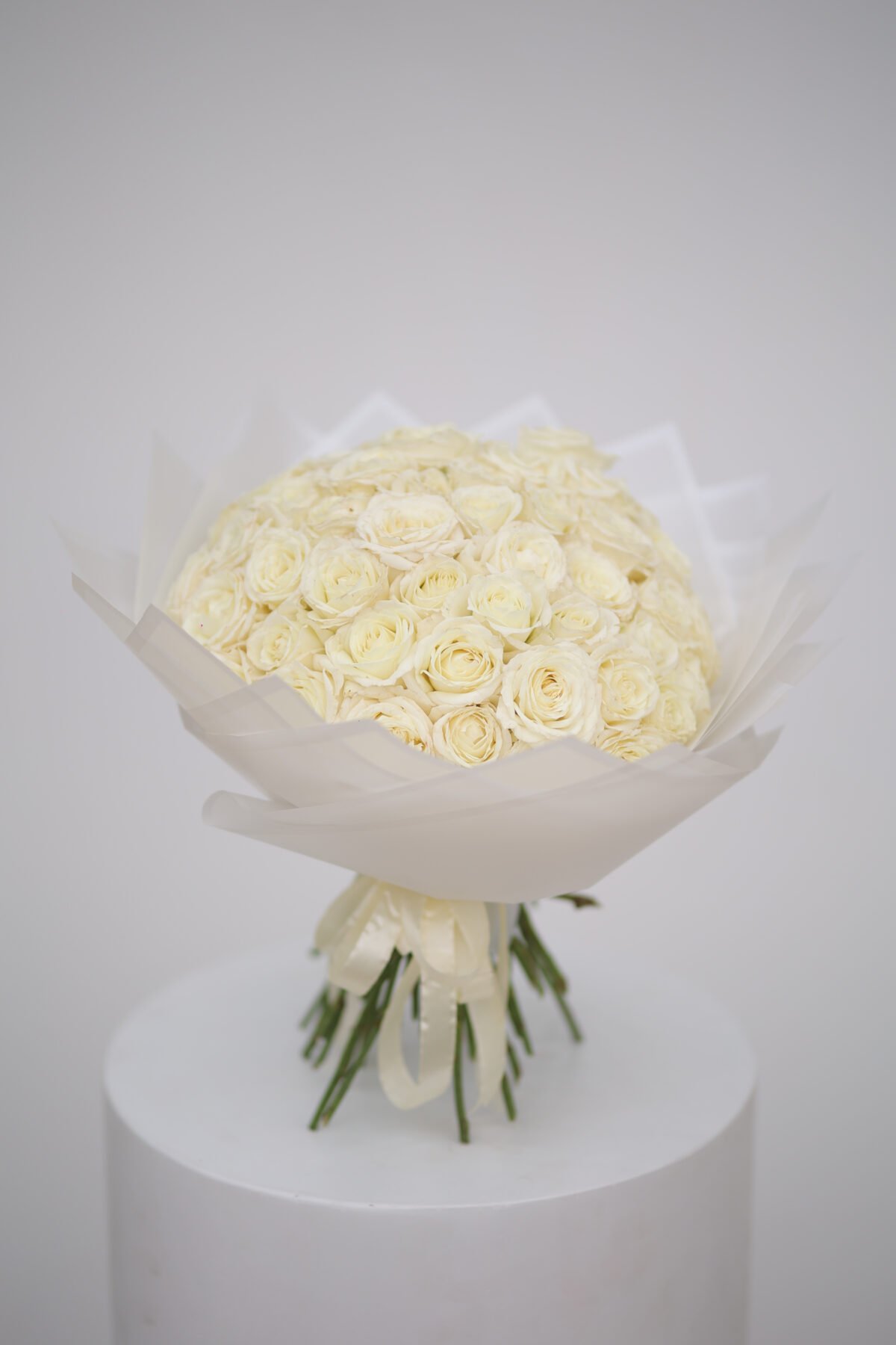 ⁦شعاع النور⁩ - الصورة ⁦3⁩