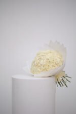 شعاع النور - الصورة 2