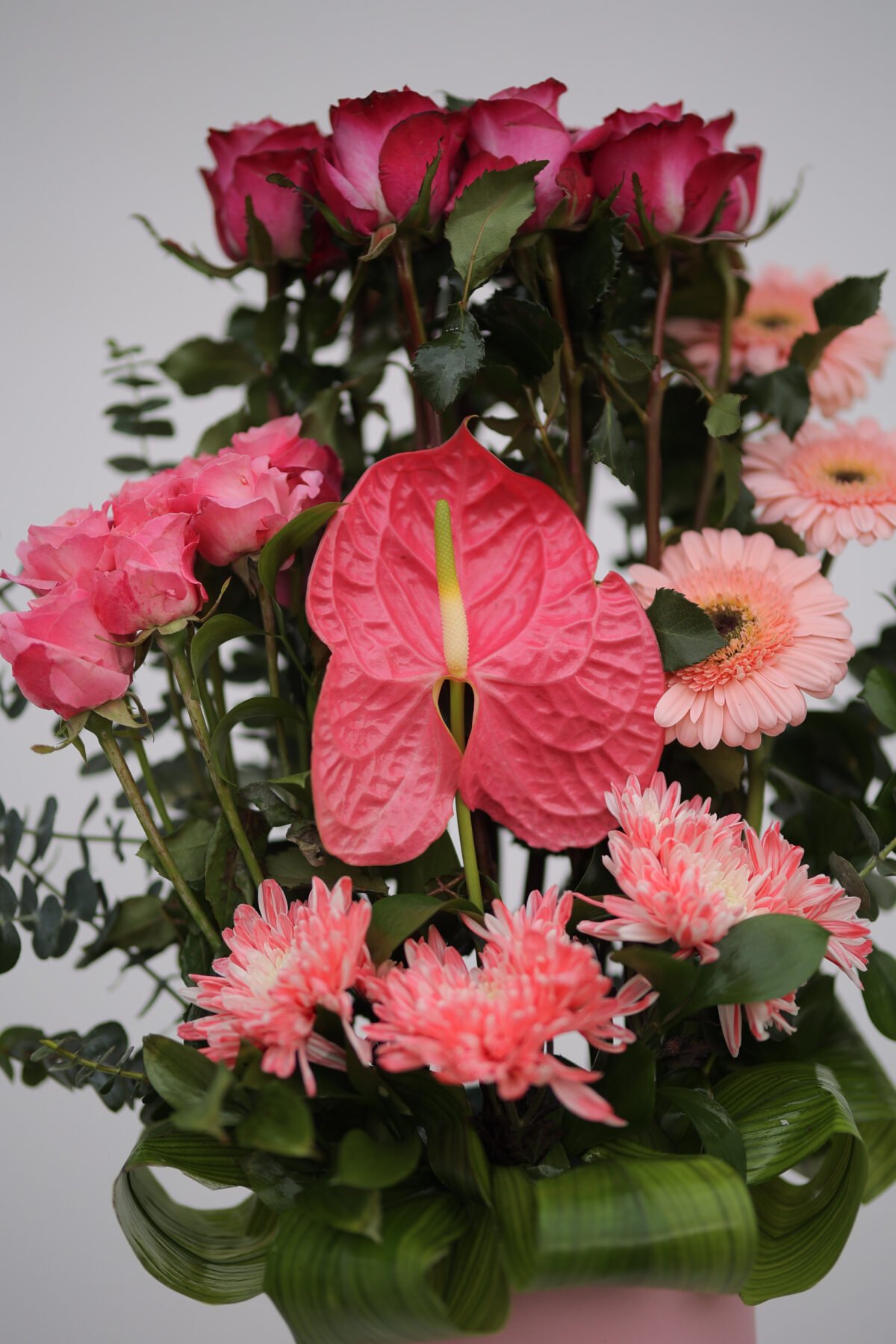 Gentle Touch - Image 2