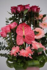 Gentle Touch - Image 2