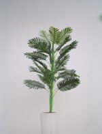 همس الأوراق