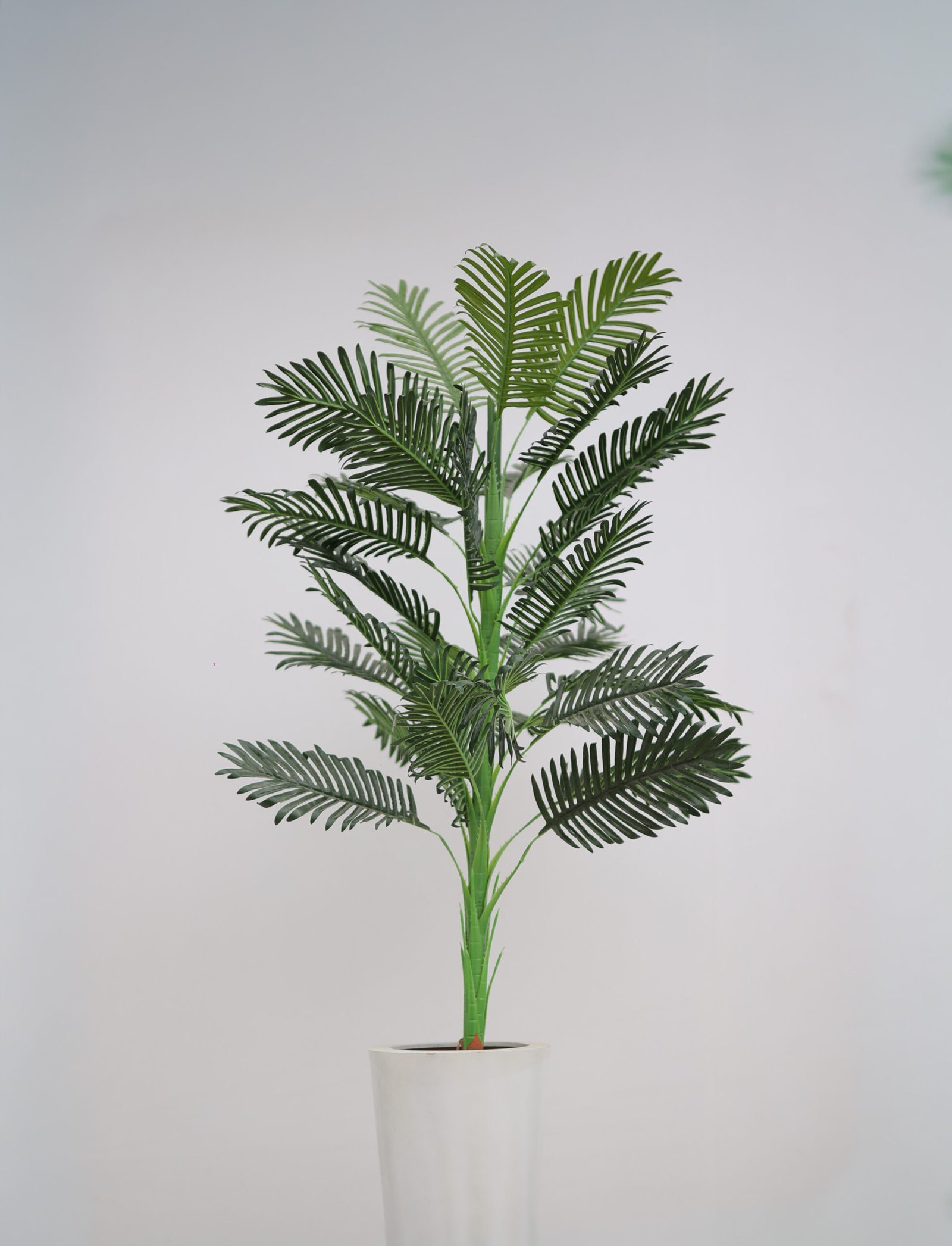 FE5A9632 همس الأوراق - الصورة 1