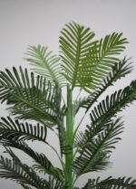 همس الأوراق - الصورة 2