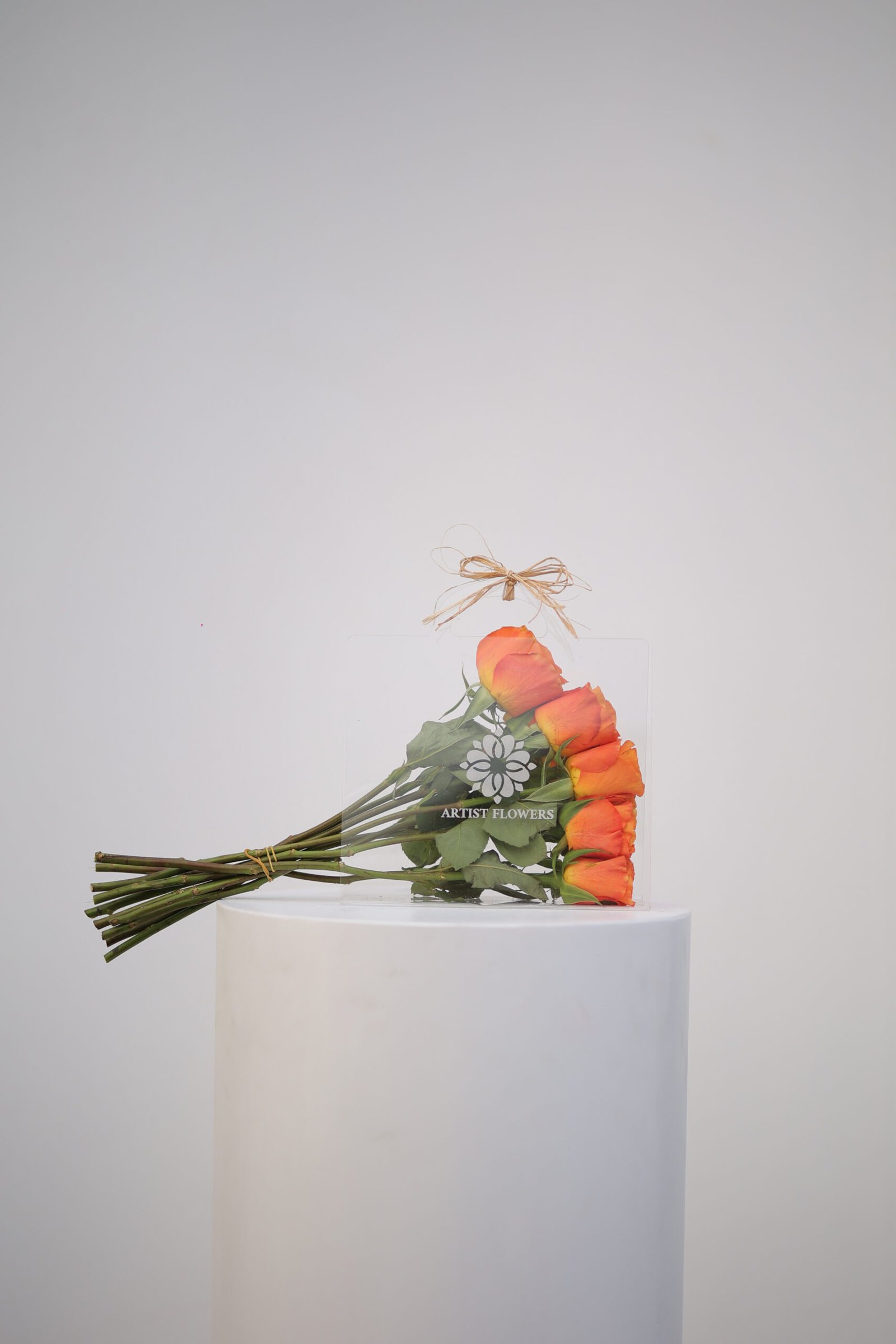 FE5A9637 لمسة دفء - الصورة 1