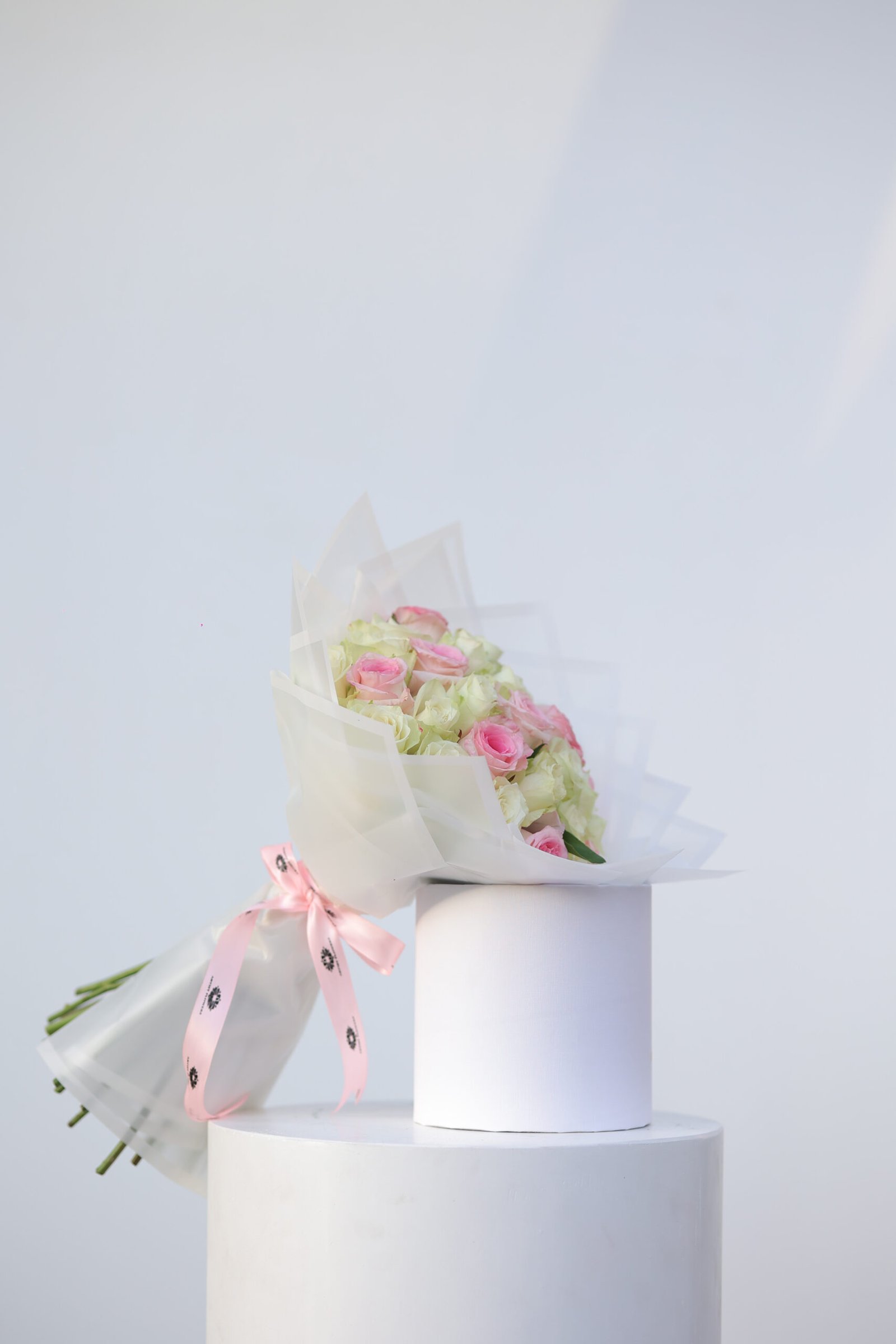 FE5A9681 روز بانك أبيض - الصورة 1