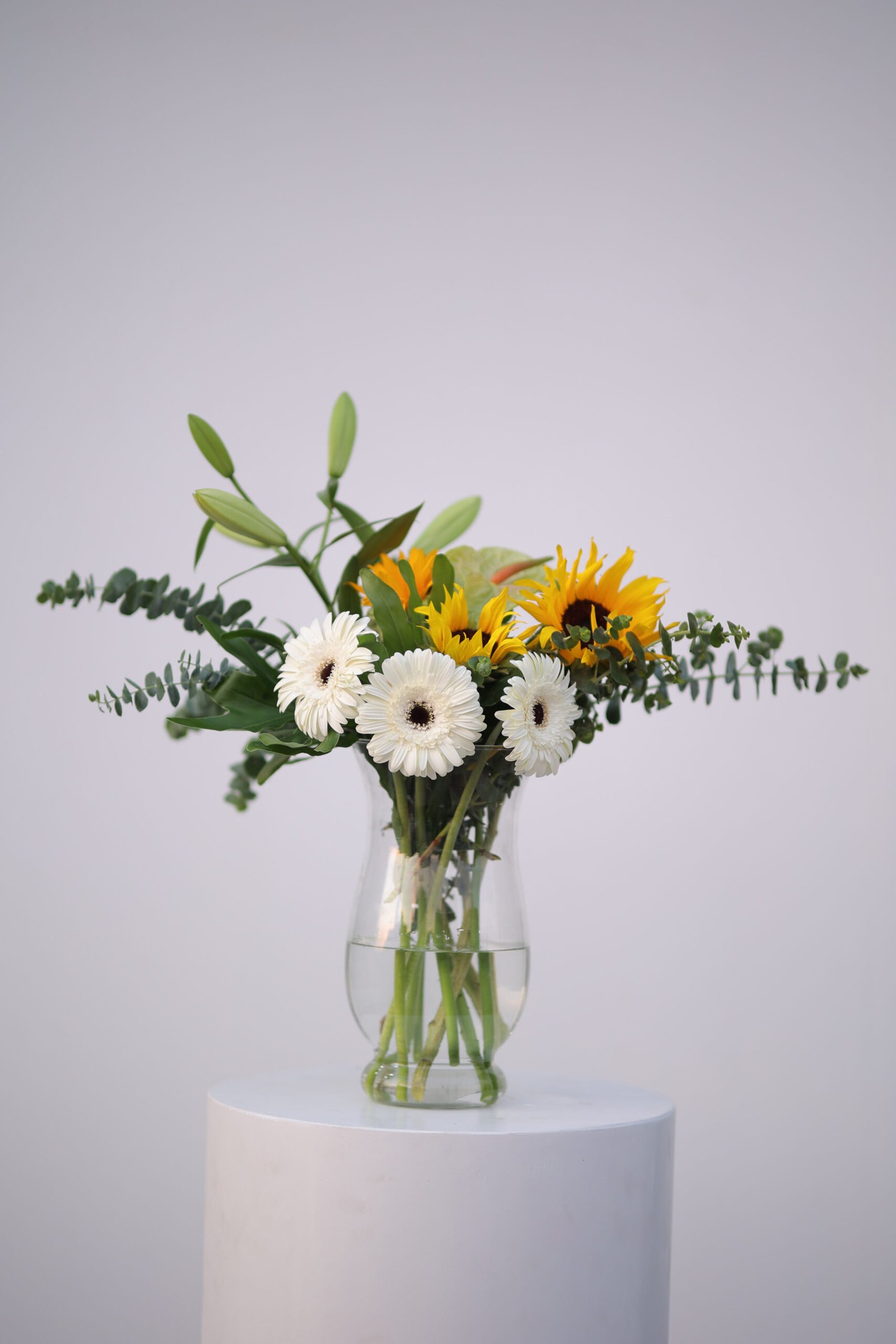 FE5A9736 Morning Glow - Image 1