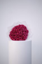 موف روز - الصورة 3