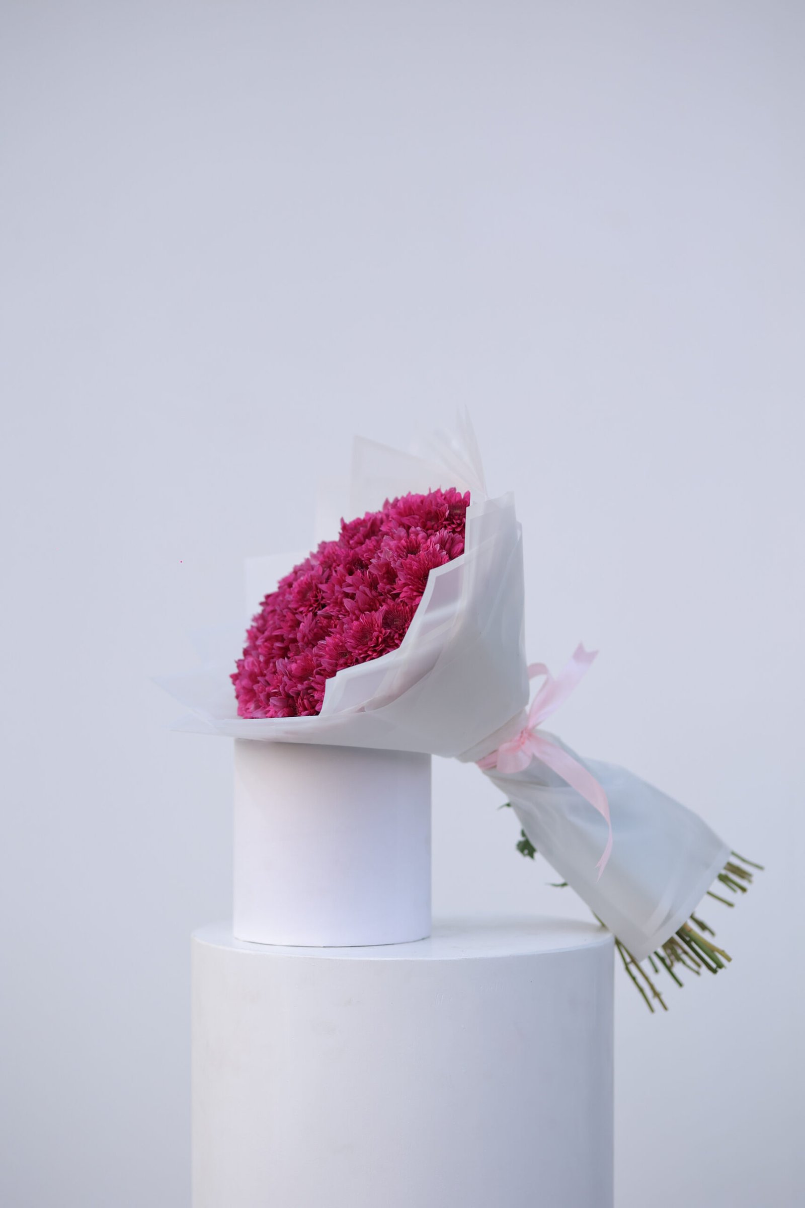 FE5A9742 موف روز - الصورة 1