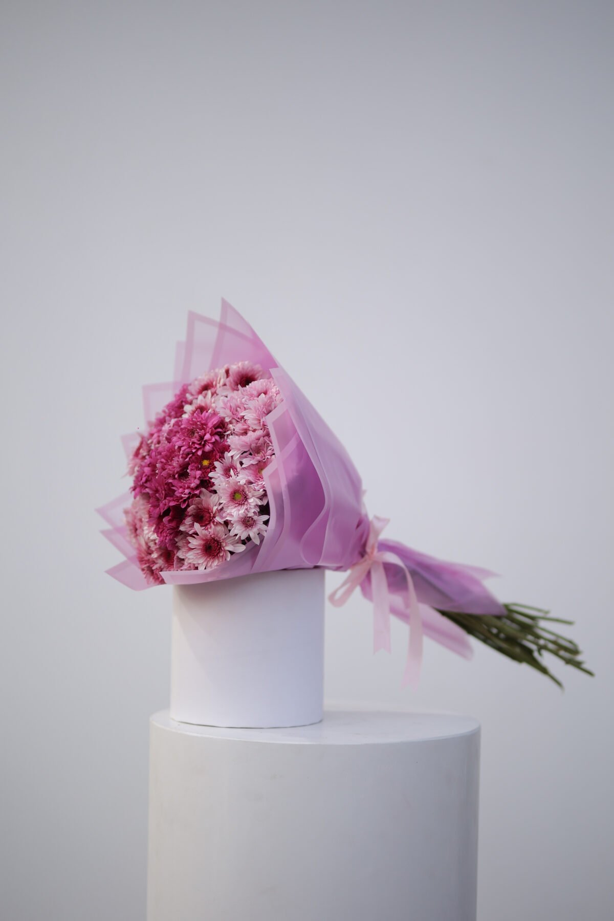 Whisper of Life - Image 2